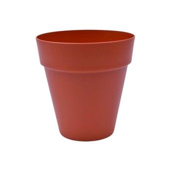 VASO RED C/ABA EUR 200 TERRA