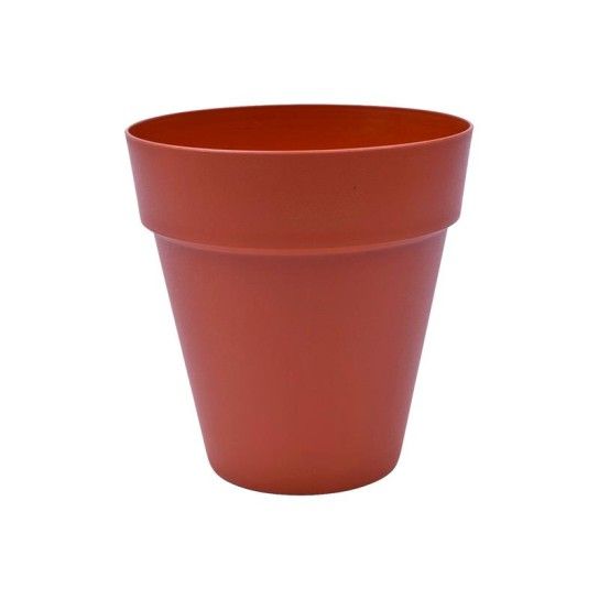 VASO RED C/ABA EUR 200 TERRA
