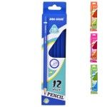 CONJ. 12 LAPIS 2B 2452-007-12 CX240