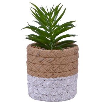 VASO CIMENTO C/PLANTA ART 2437-010 CX24