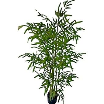 FLOR ARTIFICIAL 150 2397-011-150