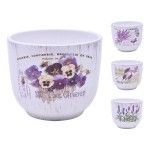 VASO 11,5X10 2675-024 CX48