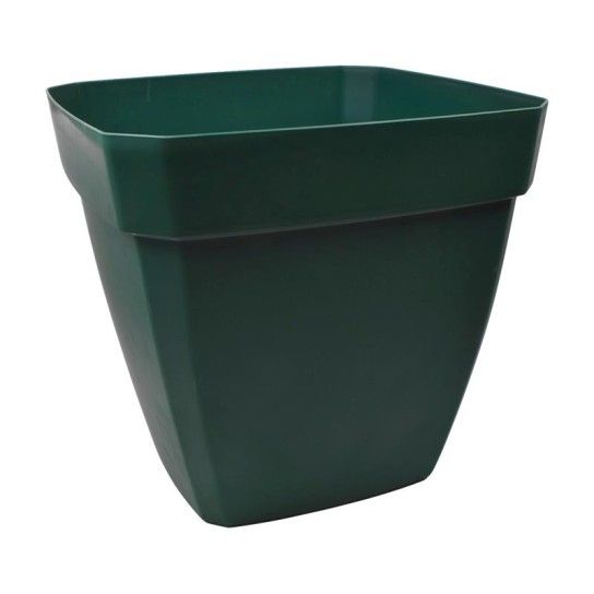 VASO QUADR C/ ABA EUR 500 VERDE