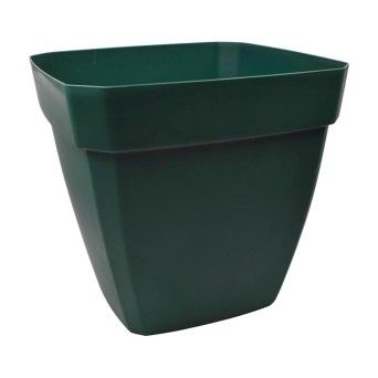 VASO QUADR C/ ABA EUR 500 VERDE