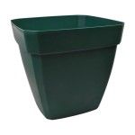 VASO QUADR C/ ABA EUR 500 VERDE