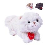 PELUCHE 25CM 2071-14-25 CX48