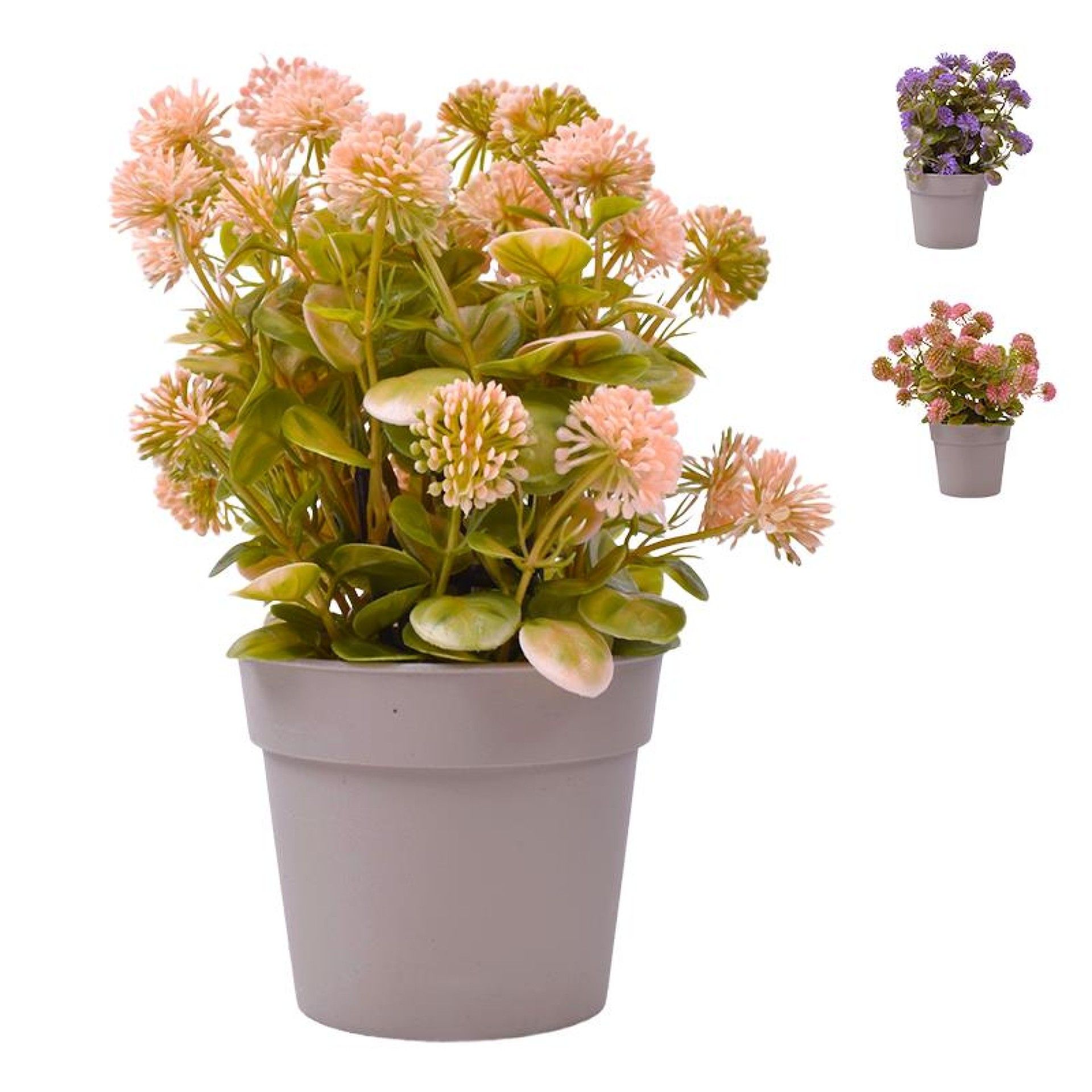 PLANTA C/ VASO 2440-017 CX 144 PLANTA C/ VASO 2440-017 CX 144