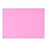 CARTOLINA 6UN 50X70CM 2940-000-B03 CX50 CARTOLINA 6UN 50X70CM 2940-000-B03 CX50