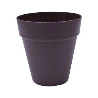 VASO RED C/ABA EUR 350 CAST
