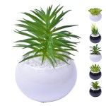 VASO C/CACTO 8,5X6 2070-42 CX48