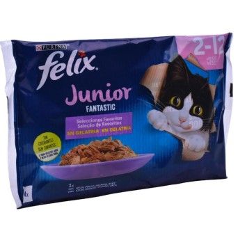 FELIX JUN PURINA4X85G