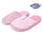 CHINELO QUARTO SRA 2517-022-M CX48