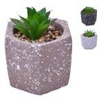 VASO DEC 2574-004 CX60