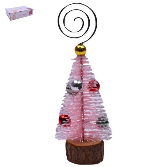 PINHEIRO C/ ESTRELA PINHEIRO C/ ESTRELA