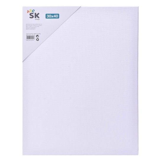 TELA P/PINTAR 30X40CM 2679-200-01 CX40