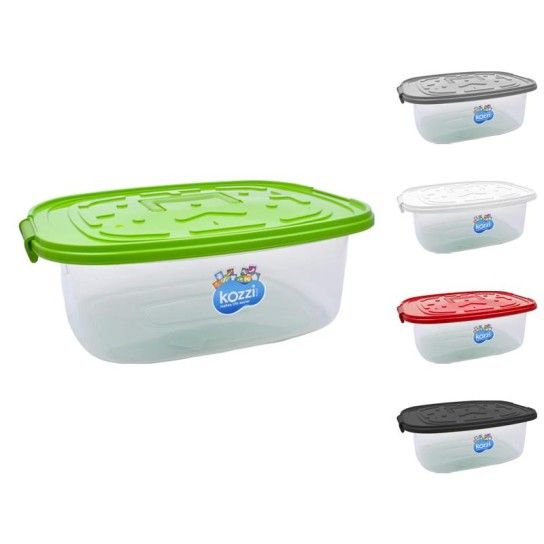CAIXA C/TAMPA 14X40CM PLASTICO 238A
