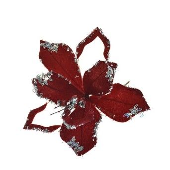 FLOR NATAL 306122751 LUNA