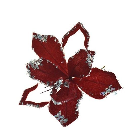 FLOR NATAL 306122751 LUNA