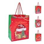 SACO PAPEL 23X18X10CM 2994-051 CX360