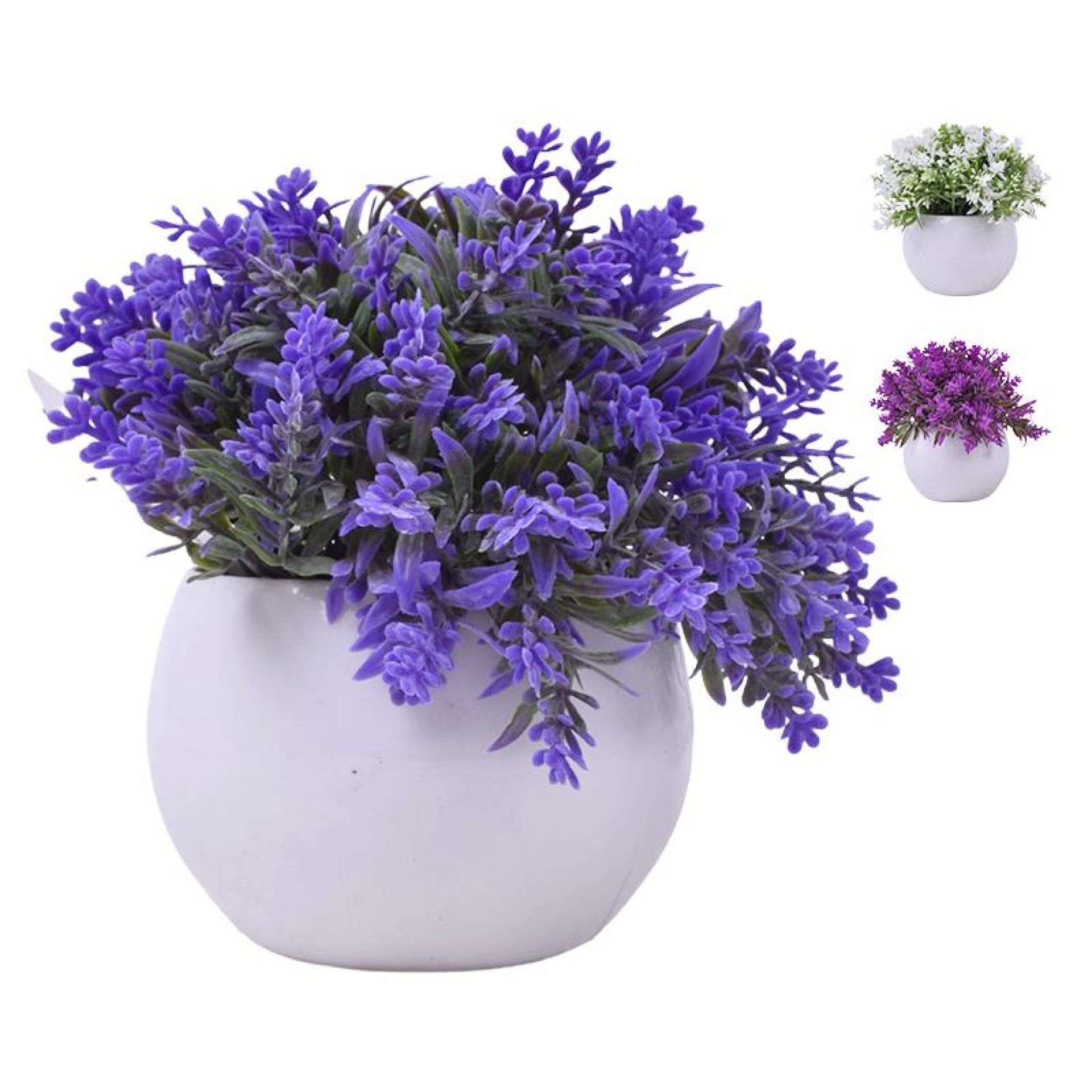 PLANTA C/ VASO 2440-012 CX144