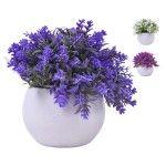 PLANTA C/ VASO 2440-012 CX144