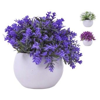 PLANTA C/ VASO 2440-012 CX144