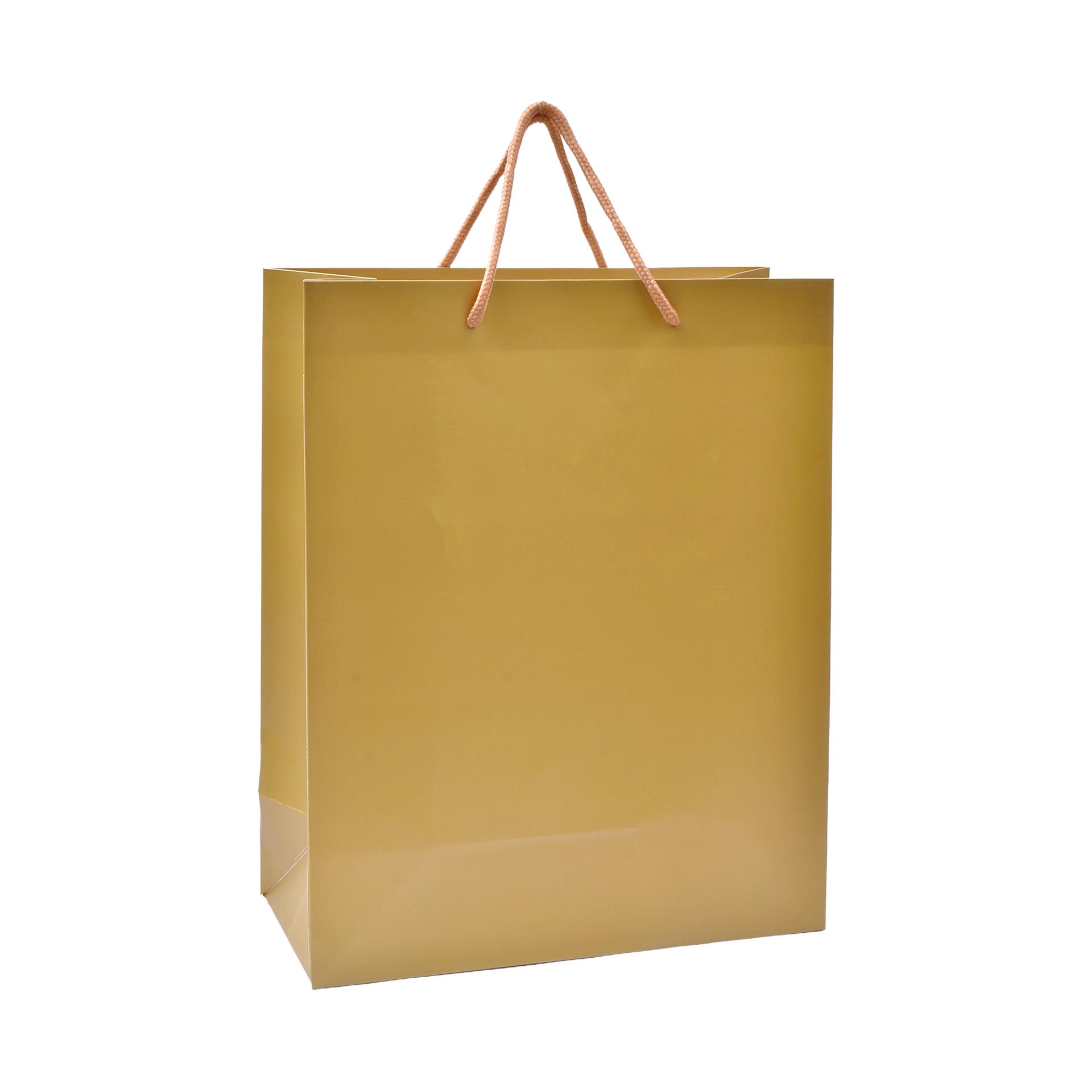 SACO PAPEL 14X8X18 DRD 2417-000-E CX480 SACO PAPEL 14X8X18 DRD 2417-000-E CX480