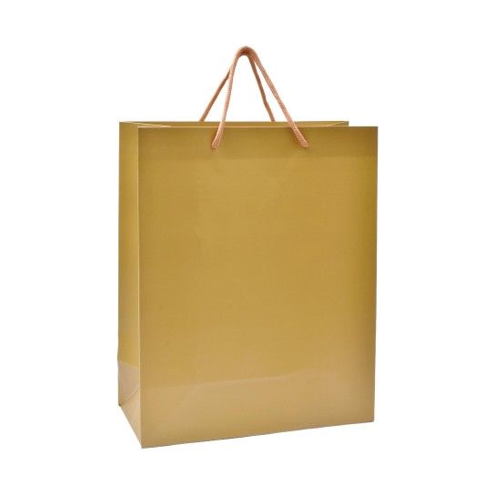 SACO PAPEL 14X8X18 DRD 2417-000-E CX480