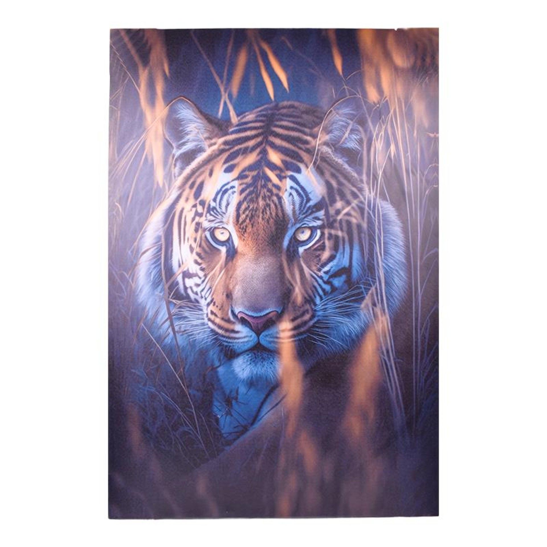 QUADRO TELA DEC 80X120 2718-000F-01 QUADRO TELA DEC 80X120 2718-000F-01