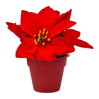 FLOR NATAL C/VASO 1283-886 CX120