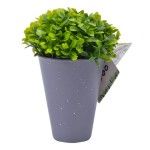 SUPORTE VASO CIMENTO CINZA PLANTA RED SUPORTE VASO CIMENTO CINZA PLANTA RED