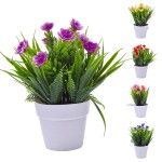 PLANTA VASO 10X20 2440-008 CX216