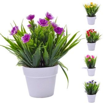 PLANTA VASO 10X20 2440-008 CX216
