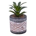VASO CIMENTO C/PLANTA ART 2437-008 CX24 VASO CIMENTO C/PLANTA ART 2437-008 CX24