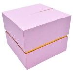 CAIXA PRESENTE 22X22X18 2534-004-A CAIXA PRESENTE 22X22X18 2534-004-A