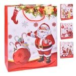 SACO NATAL 31X40X12 2710-001-02 CX180