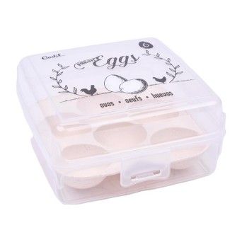 PLASTICO CAIXA X 6 OVOS 2855