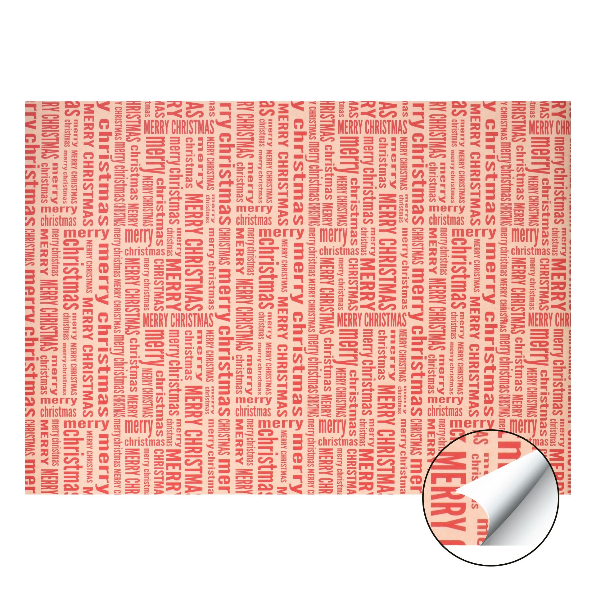PAPEL EMBRULHO 0,7X1M 042-25 25UN