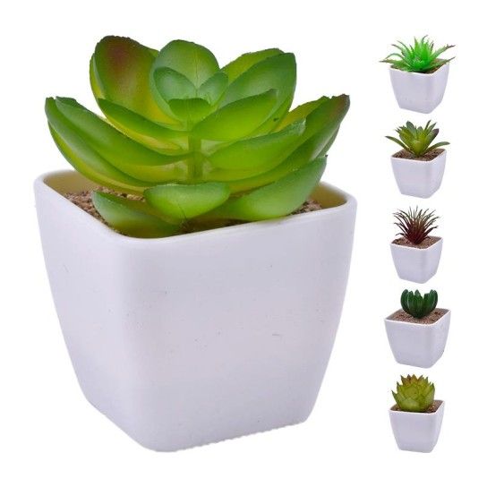 VASO C/CATO 4.5X4.5X4.8CM 2639-000 CX240 VASO C/CATO 4.5X4.5X4.8CM 2639-000 CX240