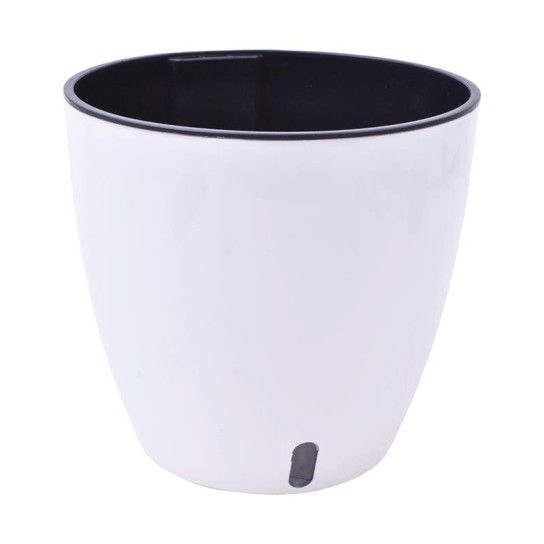 VASO 21X19,8 2630-910-01 CX40