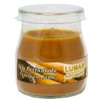 VELA YOGURT PERF. CANELA VELA YOGURT PERF. CANELA