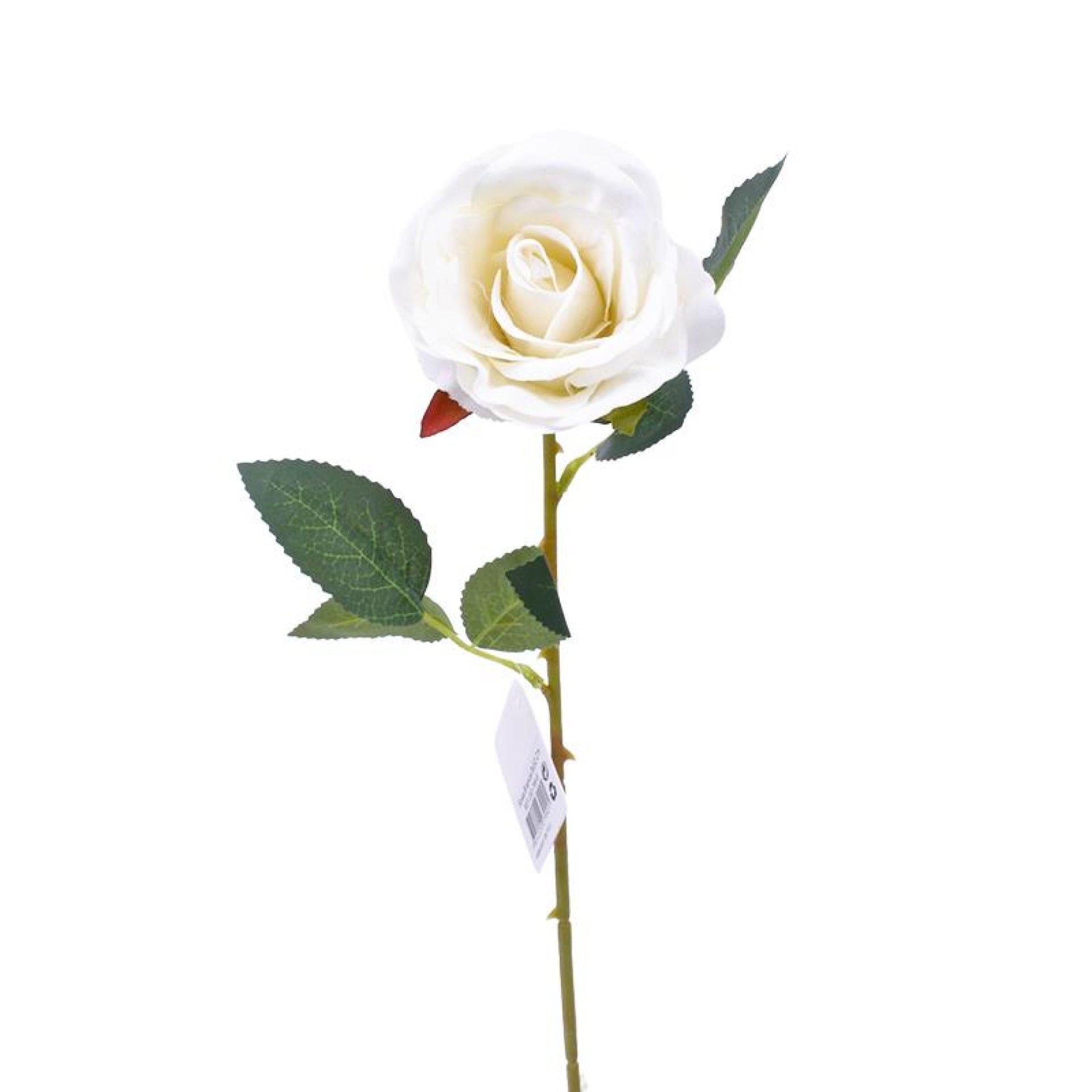 ROSA BRANCA 202-799-B CX240 ROSA BRANCA 202-799-B CX240