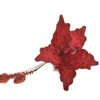 FLOR NATAL 306127260 LUNA