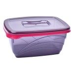 CAIXA PLASTICA 800ML L-00767 CX24 CAIXA PLASTICA 800ML L-00767 CX24