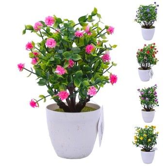 PLANTA VASO 15X23 2440-011 CX144