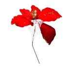 FLOR NATAL 306122842 LUNA