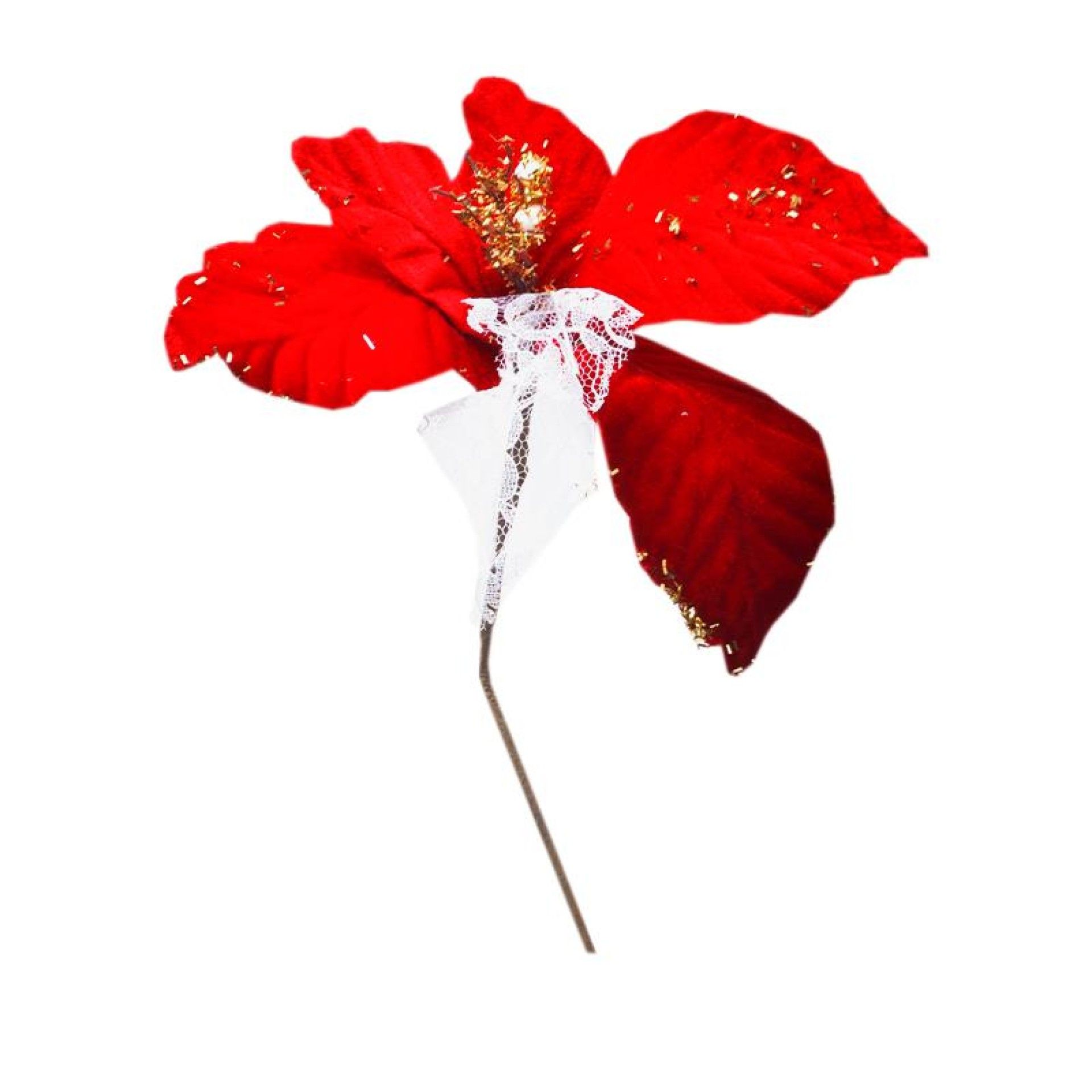 FLOR NATAL 306122842 LUNA FLOR NATAL 306122842 LUNA