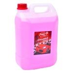 CHAMPO AUTO GABYLAR 5L CHAMPO AUTO GABYLAR 5L