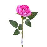 ROSA COR DE ROSA 202-800-C CX480 ROSA COR DE ROSA 202-800-C CX480