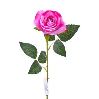 ROSA COR DE  ROSA 202-800-C CX480